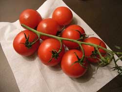 tomat2.jpg